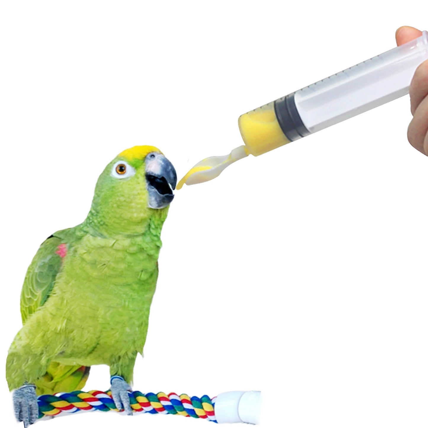 Hand-Feeding Spoon Kit (Baby Birds)