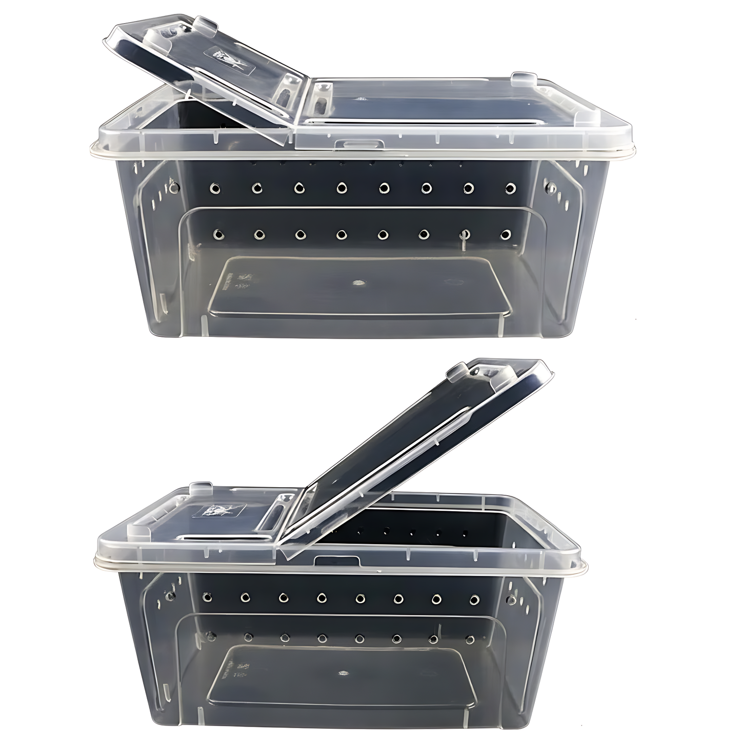 Bird Nursing & Transport Box
