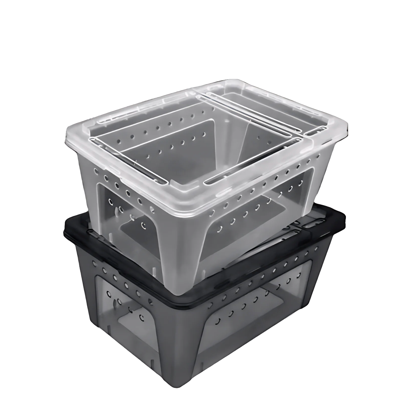 Bird Nursing & Transport Box
