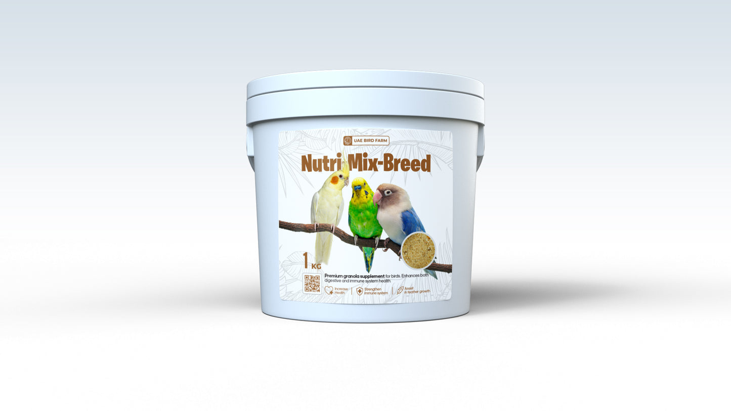 Premium (Nutri-Mix-Breed) Granola, For LoveBirds/Cocktails/ Budgerries...