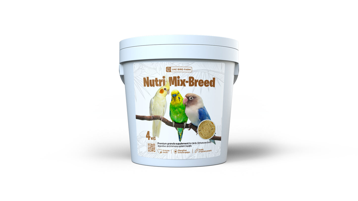 Premium (Nutri-Mix-Breed) Granola, For LoveBirds/Cocktails/ Budgerries...