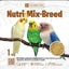 Premium (Nutri-Mix-Breed) Granola, For LoveBirds/Cocktails/ Budgerries...