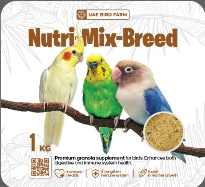 Premium (Nutri-Mix-Breed) Granola, For LoveBirds/Cocktails/ Budgerries...