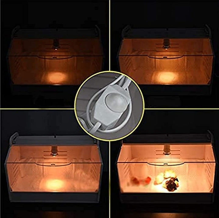 Birds/Pets Brooder with Heater