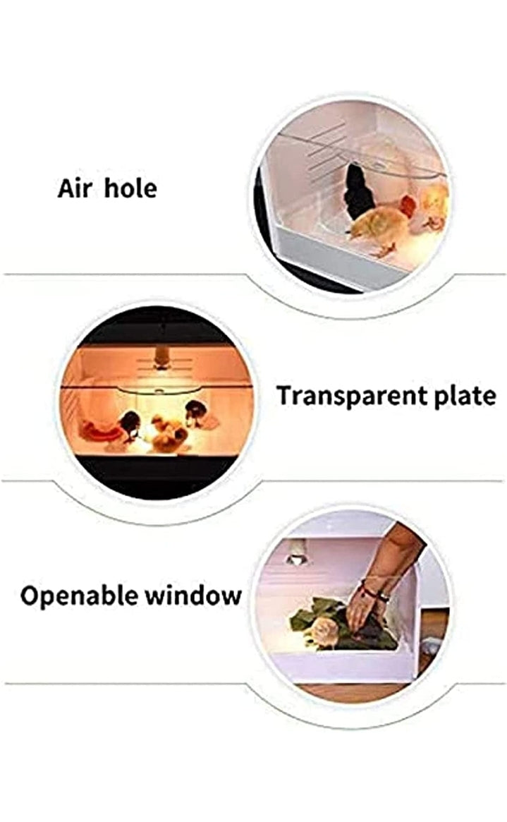 Birds/Pets Brooder with Heater