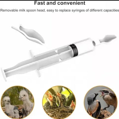 Baby Bird Hand Feeding Spoon Kit Syringe